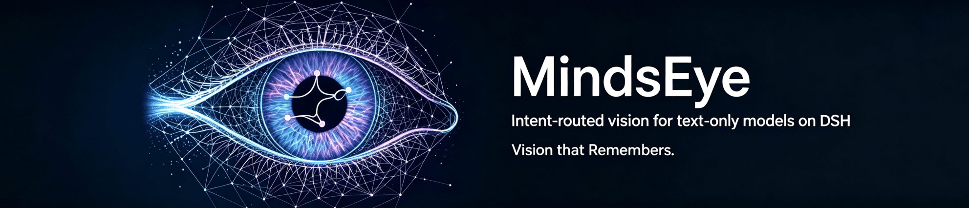 dsh-mindseye cover